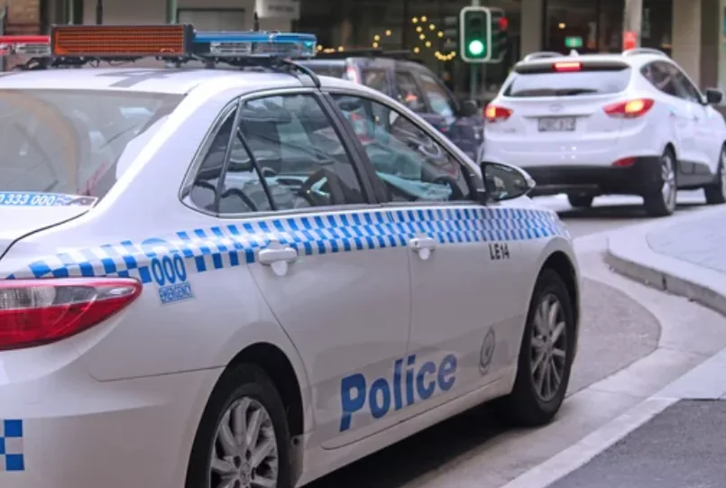 A police car at a roadside traffic stop